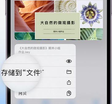 瓯海apple维修中心分享iPhone文件应用中存储和找到下载文件