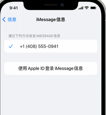 瓯海apple维修iPhone上无法正常发送iMessage信息 