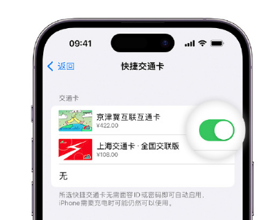 瓯海apple维修点分享iPhone上更换Apple Pay快捷交通卡手绘卡面 