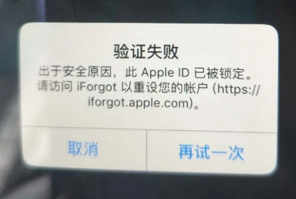 瓯海iPhone维修分享iPhone上正常登录或使用AppleID怎么办 