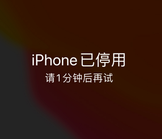 瓯海苹果手机维修分享:iPhone 显示“不可用”或“已停用”怎么办？还能保留数据吗？ 