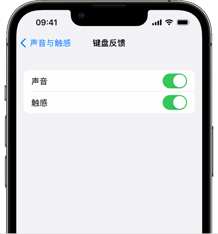 瓯海苹果14维修店分享如何在 iPhone 14 机型中使用触感键盘 