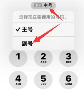 瓯海苹果14维修店分享iPhone 14 Pro Max使用副卡打电话的方法 