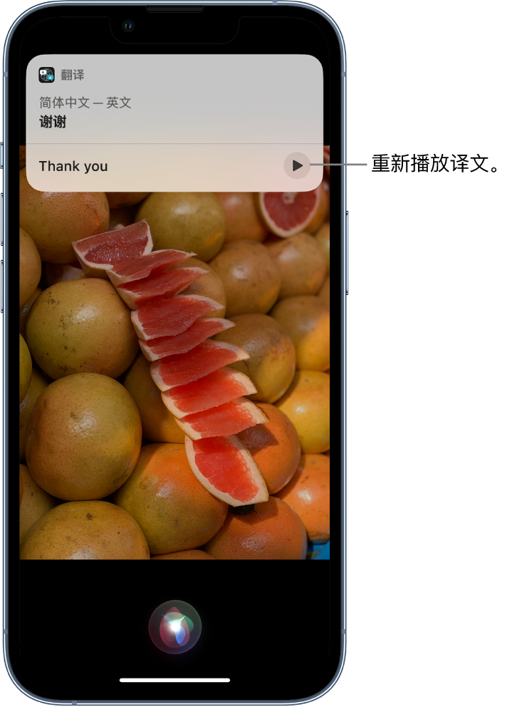 瓯海苹果14维修分享 iPhone 14 机型中使用 Siri：了解 Siri 能帮你做什么 