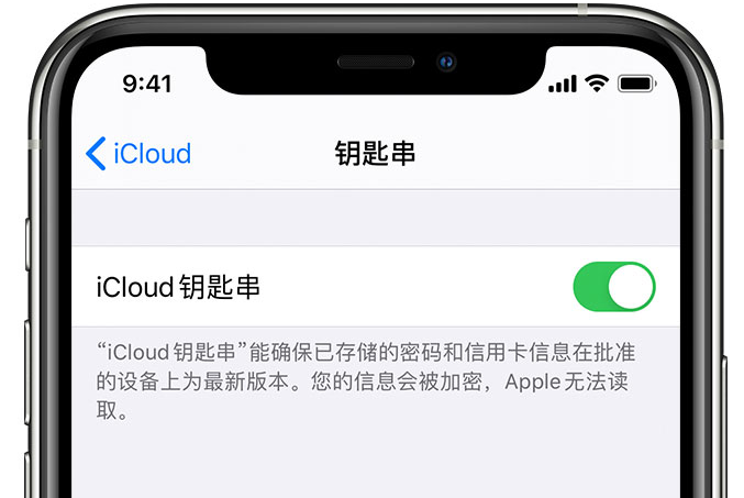 瓯海苹果手机维修分享在 iPhone 上开启 iCloud 钥匙串之后会储存哪些信息 