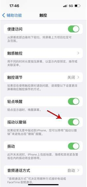 瓯海苹果手机维修分享iPhone手机如何设置摇一摇删除文字 